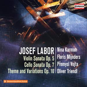 Violinistin Nina Karmon CD Josef Labor